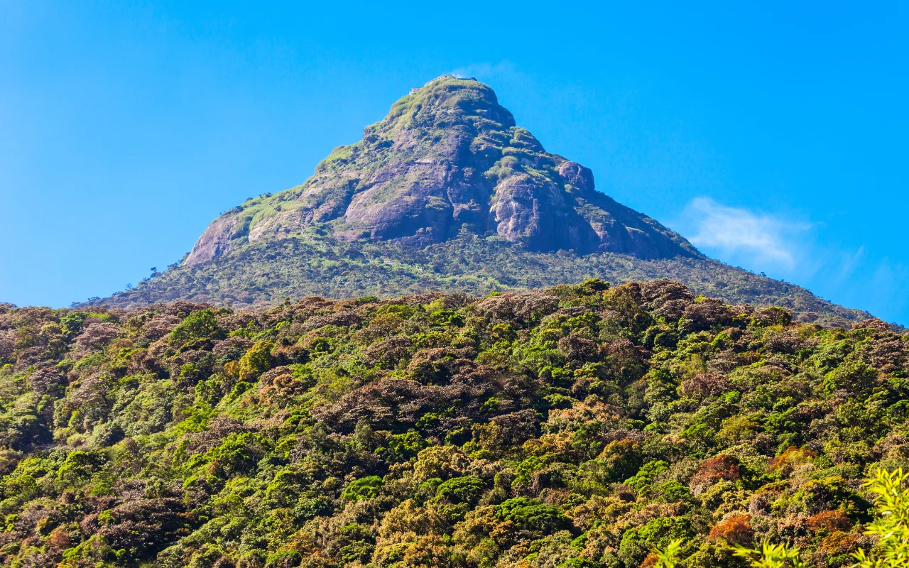 Adams Peak